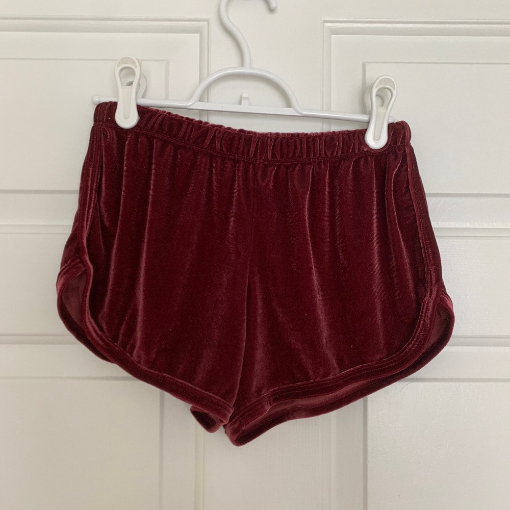 Velvet Brandy Melville Shorts